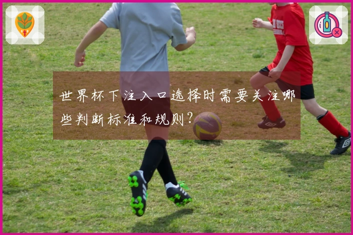 世界杯下注入口选择时需要关注哪些判断标准和规则？
