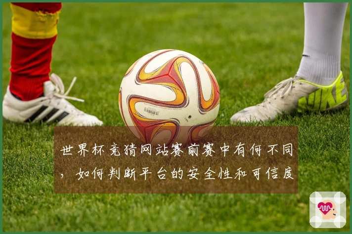 世界杯竞猜网站赛前赛中有何不同，如何判断平台的安全性和可信度
