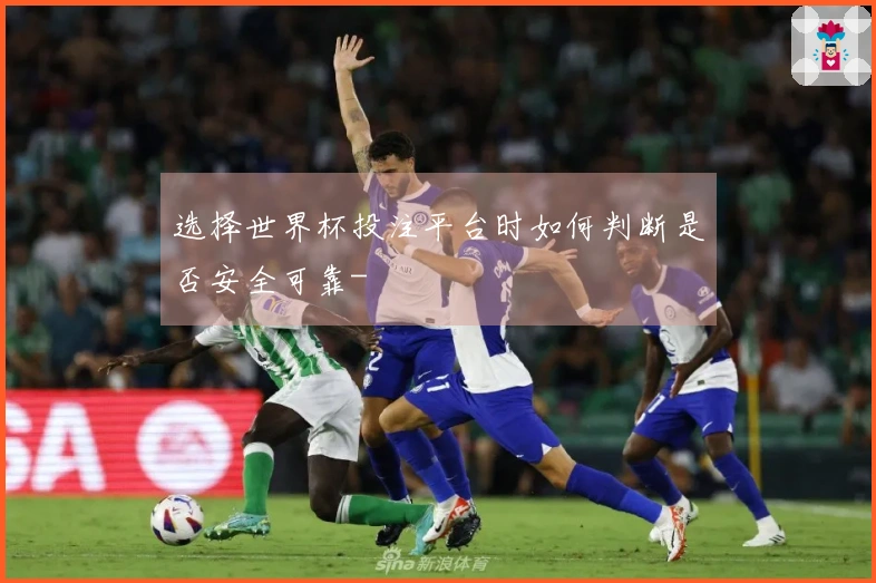 选择世界杯投注平台时如何判断是否安全可靠-