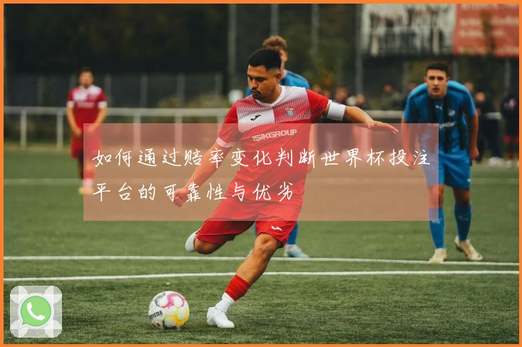 如何通过赔率变化判断世界杯投注平台的可靠性与优劣