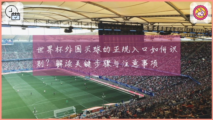 世界杯外围买球的正规入口如何识别？解读关键步骤与注意事项